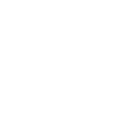 holden